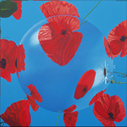 amapolas