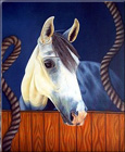 caballo