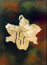 liliun