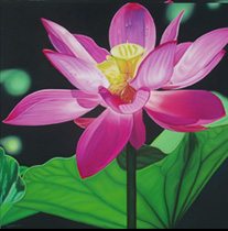 lotus