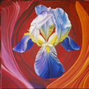 orquidea