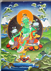 tara